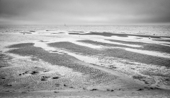 AUTHIE Anne-Lise, A perte de vue,  monochrome, paysages