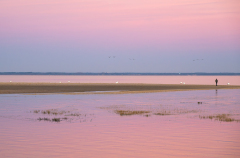 AUTHIE Anne-Lise, Soirée rose, couleur , paysages