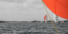 MEDARD Luc, regatta 2, couleur , sport
