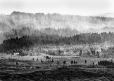 Darnault Assunta, Skye, monochrome, paysages