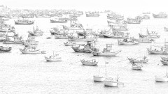 SCHOENTGEN Pierre-André, Armada à Mui Ne, monochrome, paysages