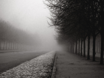 WINTERHALTER Elizabeth, Allée du Trianon, monochrome, paysages