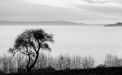 WINTERHALTER François, Au-dessus des nuages, monochrome, paysages
