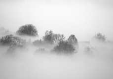 WINTERHALTER François, Douceur de brumes, monochrome, paysages