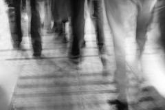 Atelier Noir et Blanc 2026 2027