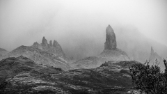 DARNAULT Assunta Man of Thor monochrome