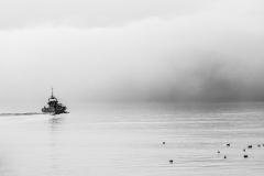 GAYET Nathalie Politi monochrome
