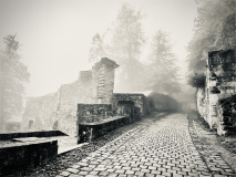 loos gerda parc monochrome