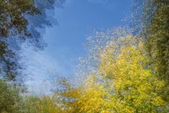 AUTHIE Anne-Lise, Magie de l automne, couleur, nature
