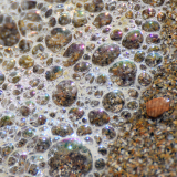 Le Bourhis Josette, Bulles, couleur, proxy
