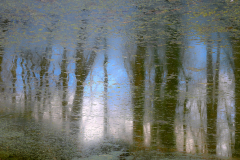 Chabod Luc, Flou hivernal, couleur, nature