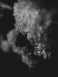 FOURNIER Laurence, neige, monochrome, proxy