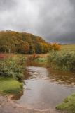 LORRE Arnaud, 1 _ Automne, couleur , nature