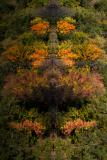 LORRE Arnaud, 3 _ Automne, couleur , nature