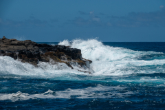 Le_Bourhis_Josette-tempete-en-mer