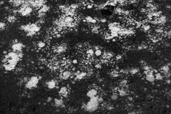 LEVER Françoise, Gel 1,  monochrome, nature