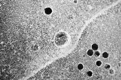 LEVER Françoise, Gel 2,  monochrome,  proxy