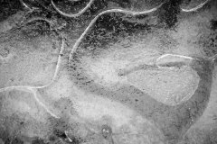 Lever Françoise, Gel 3,  monochrome,  proxy