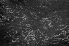 LEVER Françoise, Gel 4,  monochrome, nature