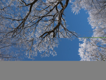 LORRE Arnaud, Neige _ 2, couleur, nature