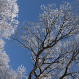 Lorre_Arnaud_Neige1