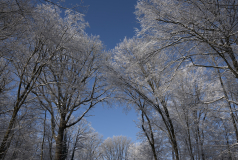 Lorre_Arnaud_Neige2