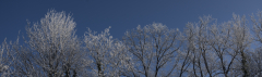 Lorre_Arnaud_Neige3