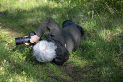 PARENT Benoit, Photographus Morvalus, couleur, nature