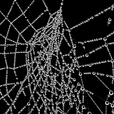 PARENT Benoit, gouttes et toile, monochrome, proxy