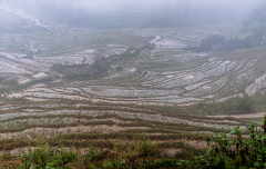 GARDON Jocelyne, Pluie, couleur, paysages