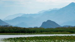 Le Bourhis Josette, Lac Skadar, couleur, paysages