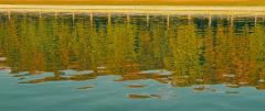 PARENT Benoit, reflets d'automne 01, couleur, paysages