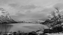 REMOADI Albert, Norvège, monochrome, paysages