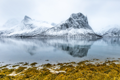REMOADI Albert, Senja, couleur, paysages