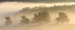 Le Bourhis Josette, Petit matin en Aubrac, couleur, paysage