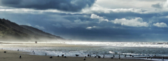 Le Bourhis Josette Les vaches noires couleur paysage