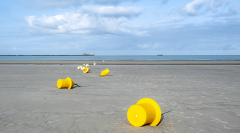 DUBIEF Monique Balises sur le sable couleur minimalisme