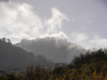 CHAPEL Martine, Brumes, couleur, paysage
