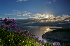 CHAPEL Martine, lever de soleil aux açores, couleur, paysage
