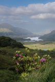 FOURNIER Laurence, Irlande-4, couleur, paysage