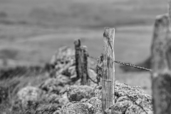 FOURNIER
Laurence, Cloture, monochrome, minimalisme