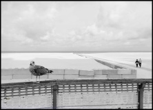 GOAVEC Martine Automne monochrome paysage