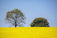 LERZY-Denis-paysage-du-thell-copieB