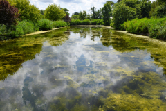 Le Bourhis Josette Aquitaine couleur paysage