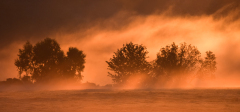 Le Bourhis Josette Aubrac couleur paysage