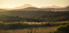 Le Bourhis Namibie 1 couleur paysage