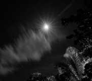 Le Bourhis Josette, Lune martiniquaise N&Bse, monochrome, paysage