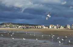 Le Bourhis Josette Orage sur Villers couleur paysage