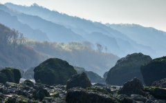 Le Bourhis Josette, Vaches noires embrumées, couleur, paysage