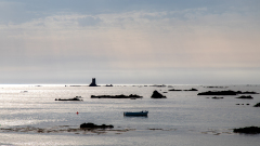 PARENT_Benoit, La Rocque - Jersey, couleur, minimalisme